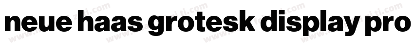 neue haas grotesk display pro 45 Li字体转换